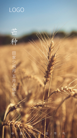 芒种