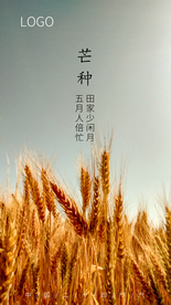 芒种