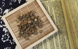 续断