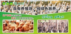 养殖场海报
