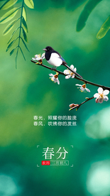 春分 二十四节气