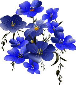 手绘花朵