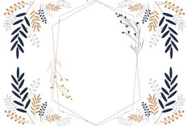 植物插画
