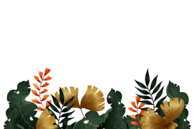 植物插画