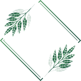 植物边框