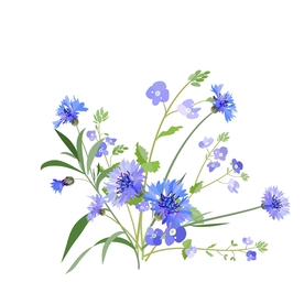 插画花朵