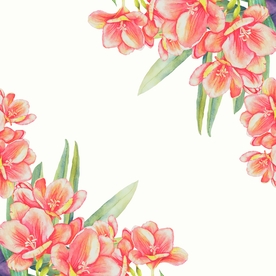 插画花朵