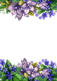 花朵背景