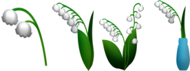 植物插画