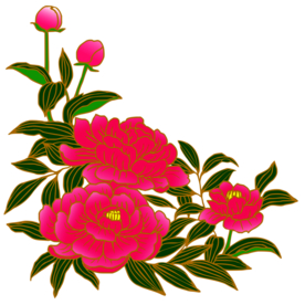 牡丹