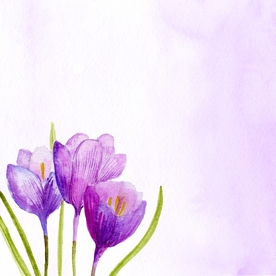 花朵插画