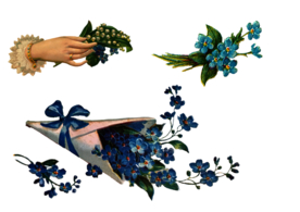 手绘花朵