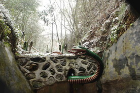 两合崖雪景