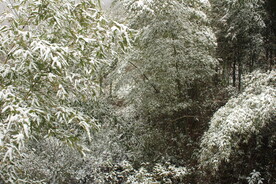 两合崖雪景