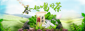 茶叶横幅