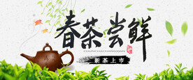 春茶尝鲜