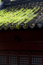 屋檐