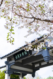 屋檐