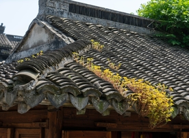 屋檐