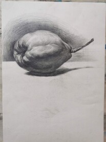 素描梨