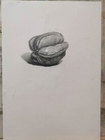 素描杨桃