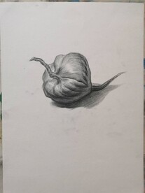 素描洋葱