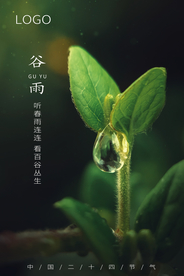 谷雨