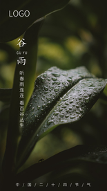 谷雨