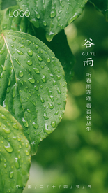 谷雨