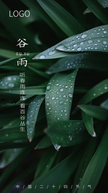 谷雨