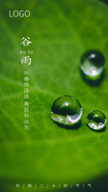 谷雨