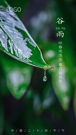 谷雨