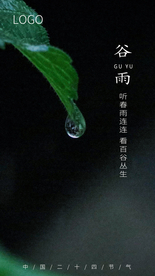 谷雨