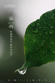 谷雨