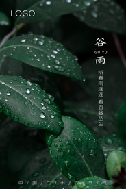 谷雨