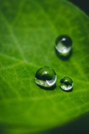 水珠