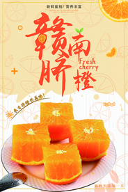 赣南脐橙