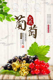 葡萄海报
