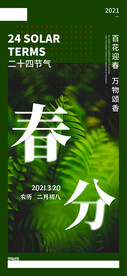 春分 节气 手机海报