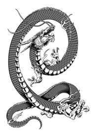 卡通T恤图片