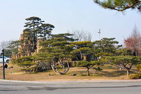 公园景点假山迎客松