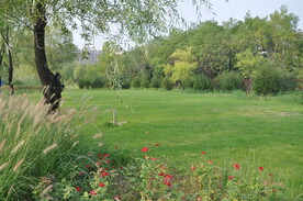 某公园开敞植物景观