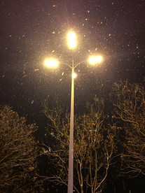 夜晚路灯雪夜飘雪