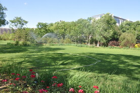 北京某公园缀花草坪