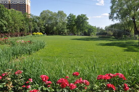 北京某公园缀花草坪