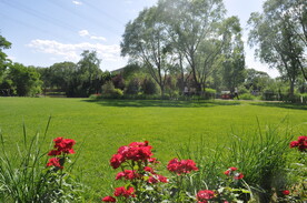 某公园中的缀花草坪