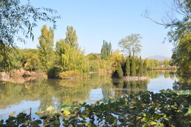 北京某公园水景景观