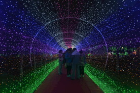 室外灯光节作品星光隧道