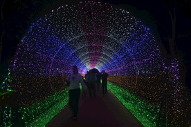 室外灯光节作品之时光隧道