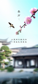 春分节气海报